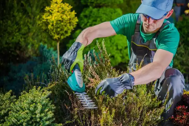 landscaping services Golden's Bridge